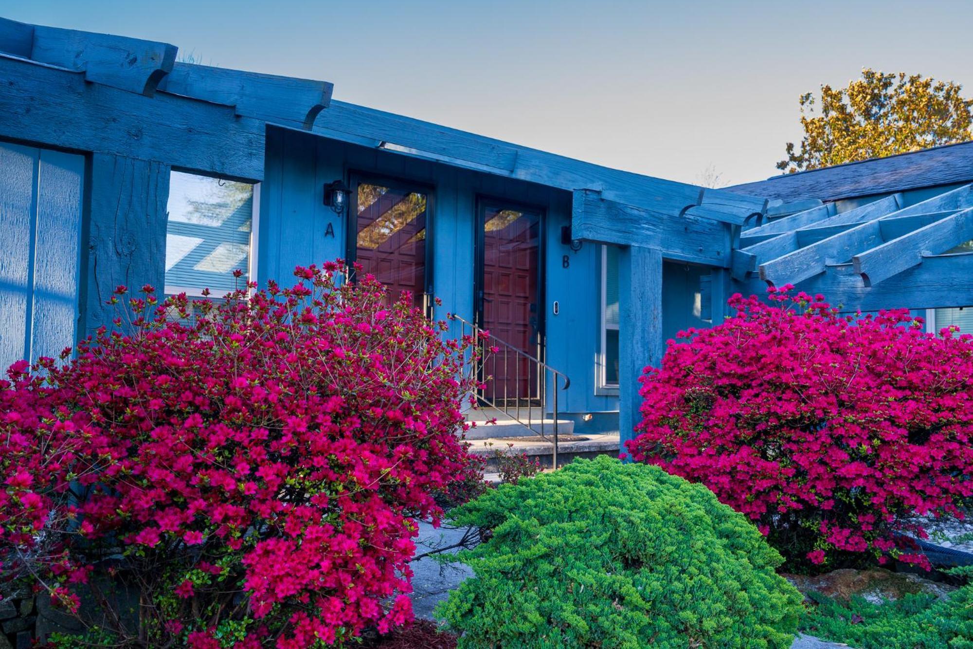 Hendo Hideaway A 2Bed/1Bath Apartamento Hendersonville Exterior foto